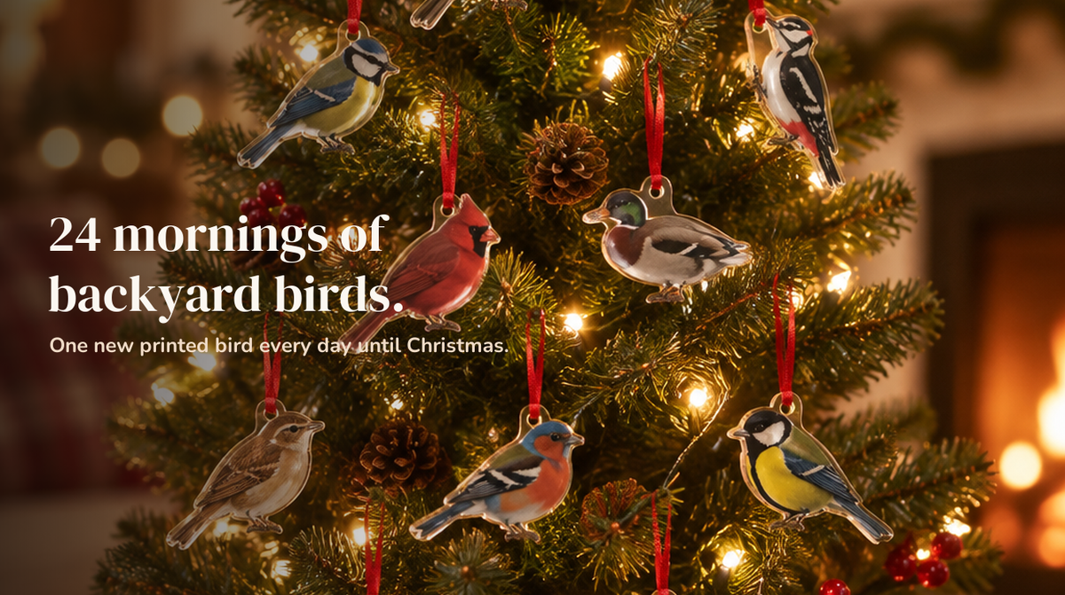 They already have the bird mug.